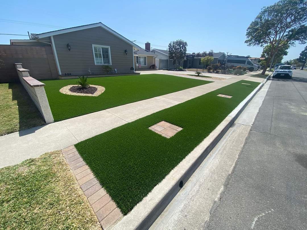 Para Artificial Grass